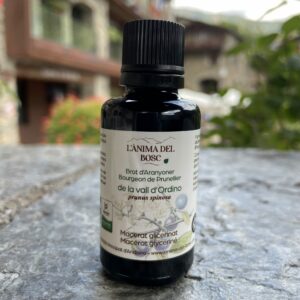 Macérat de bourgeons de prunellier bio