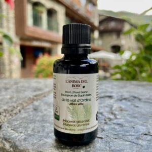Macérat de bourgeons de sapin blanc bio
