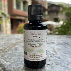 Macérat de bourgeons de pommier bio