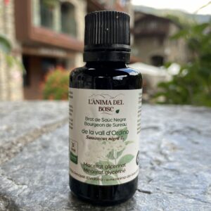 Macérat de bourgeons de sureau noir bio