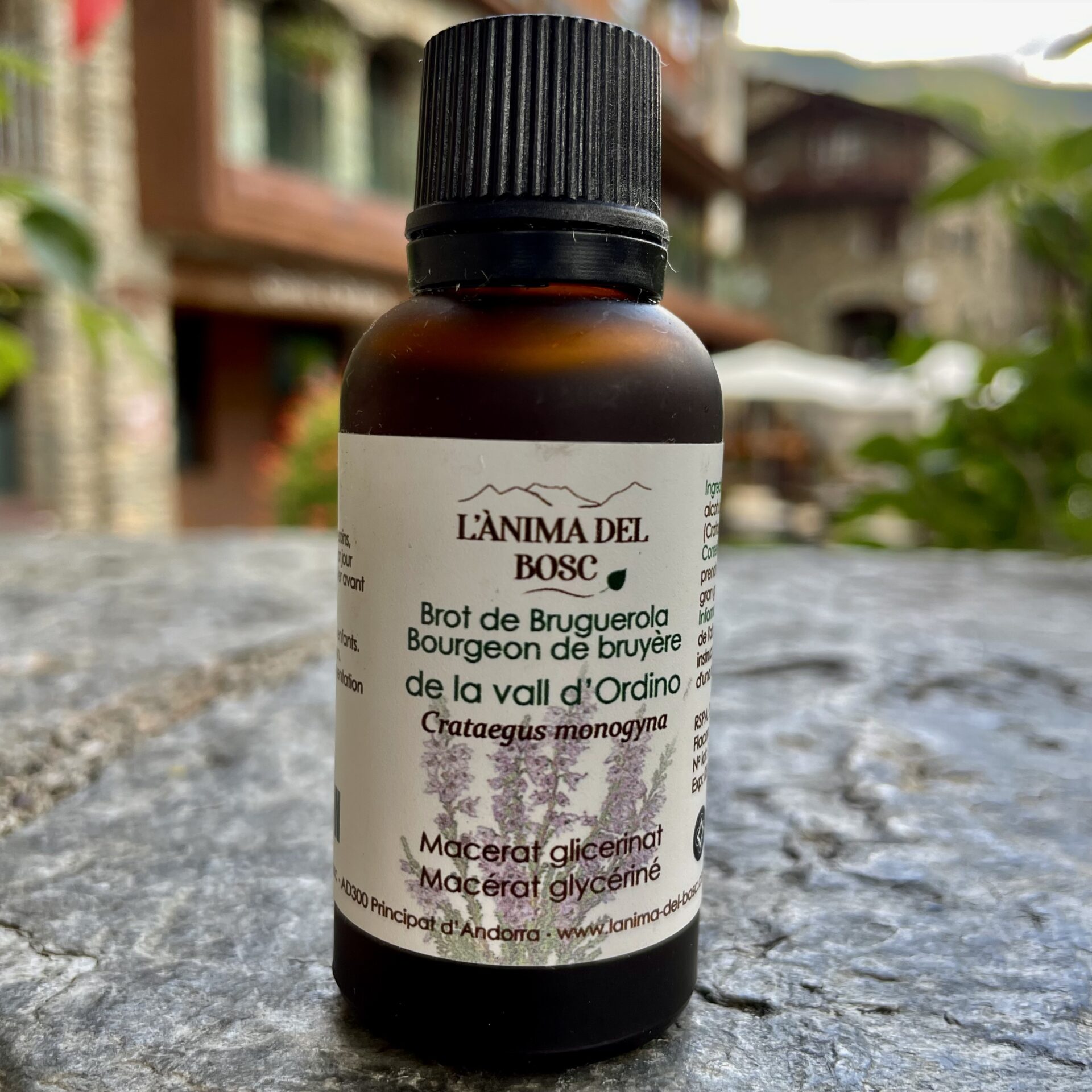 Macérat de jeunes pousses de bruyère (30 ml)