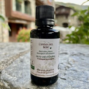 Macérat de bourgeons d'aubépine bio
