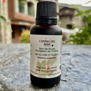 Macérat de bourgeons de chêne bio