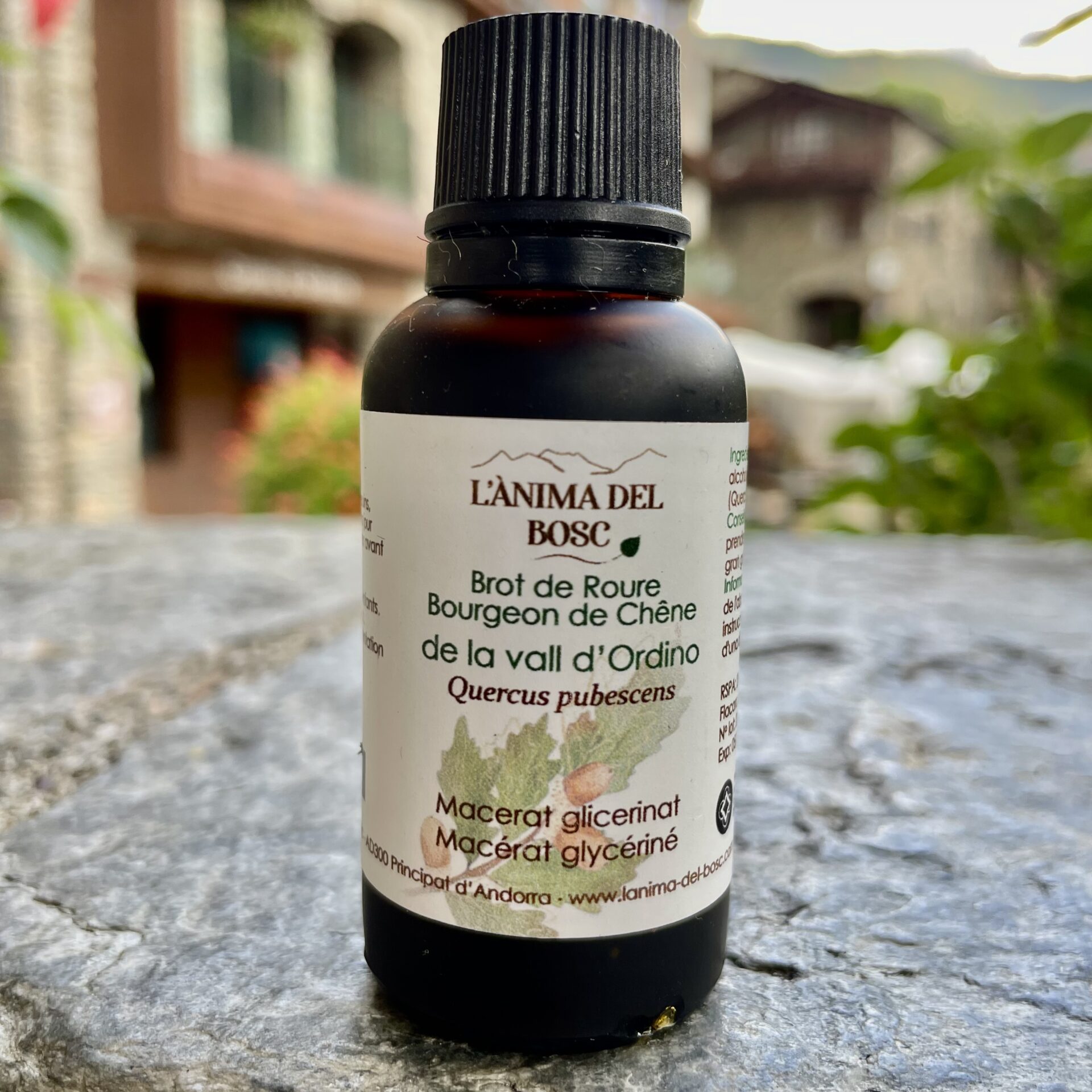 Macerat de brots de roure ecològic