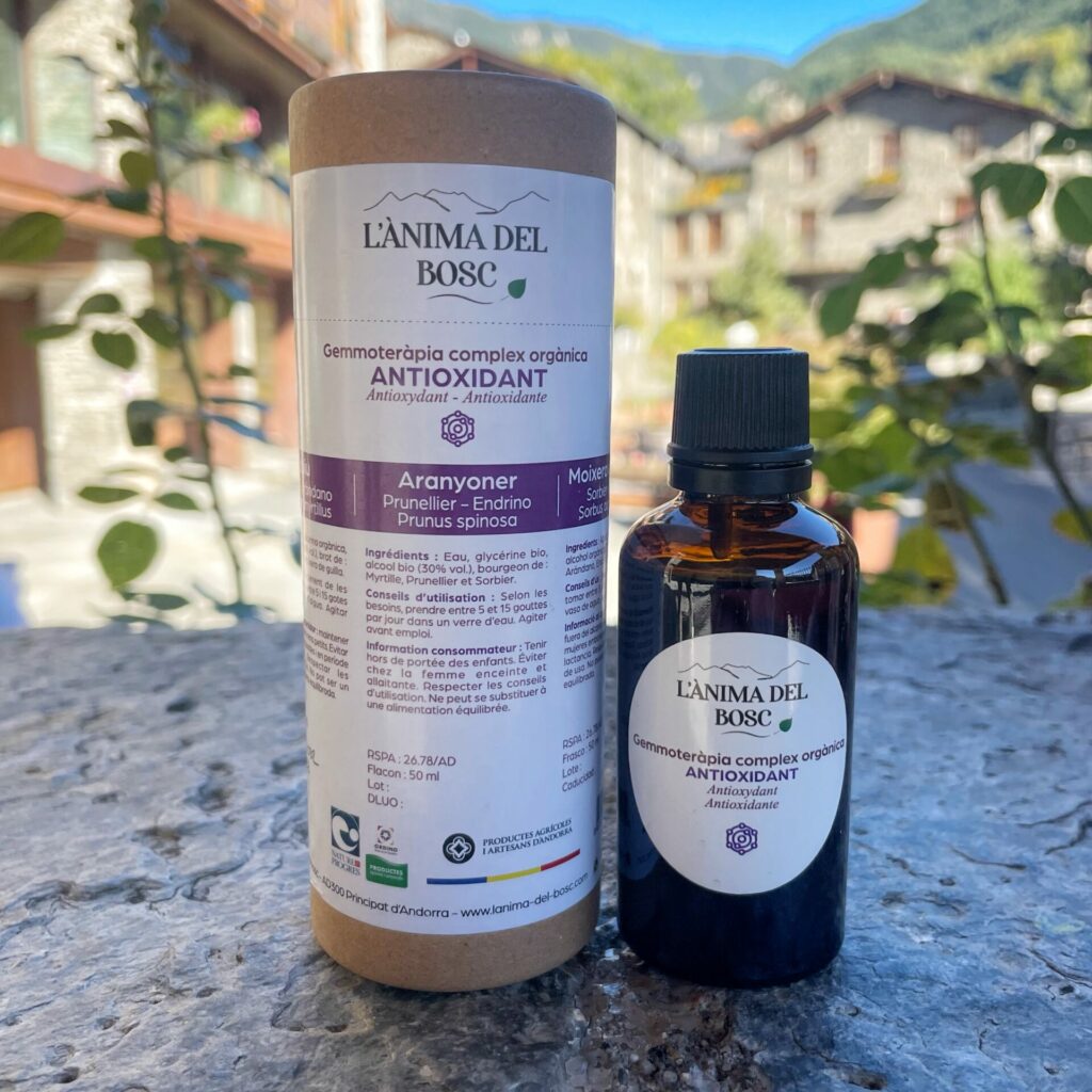Complexe Antioxydant - Myrtille, Prunellier et Sorbier 50 ml