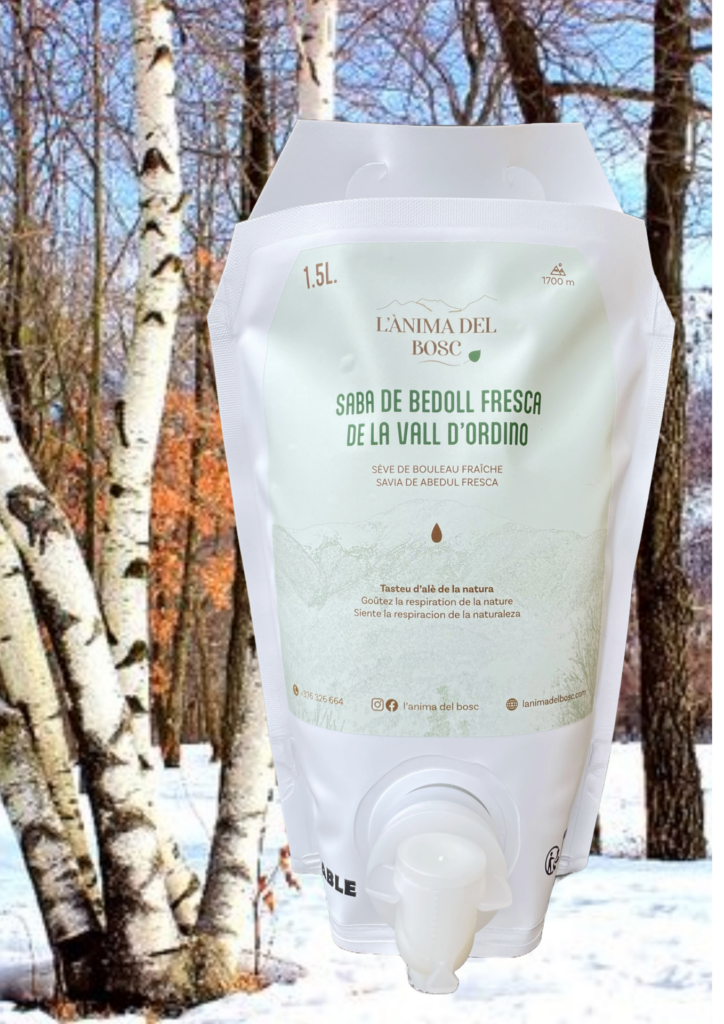 Sève de bouleau fraiche de la vallée d'Ordino - 1,5 litres