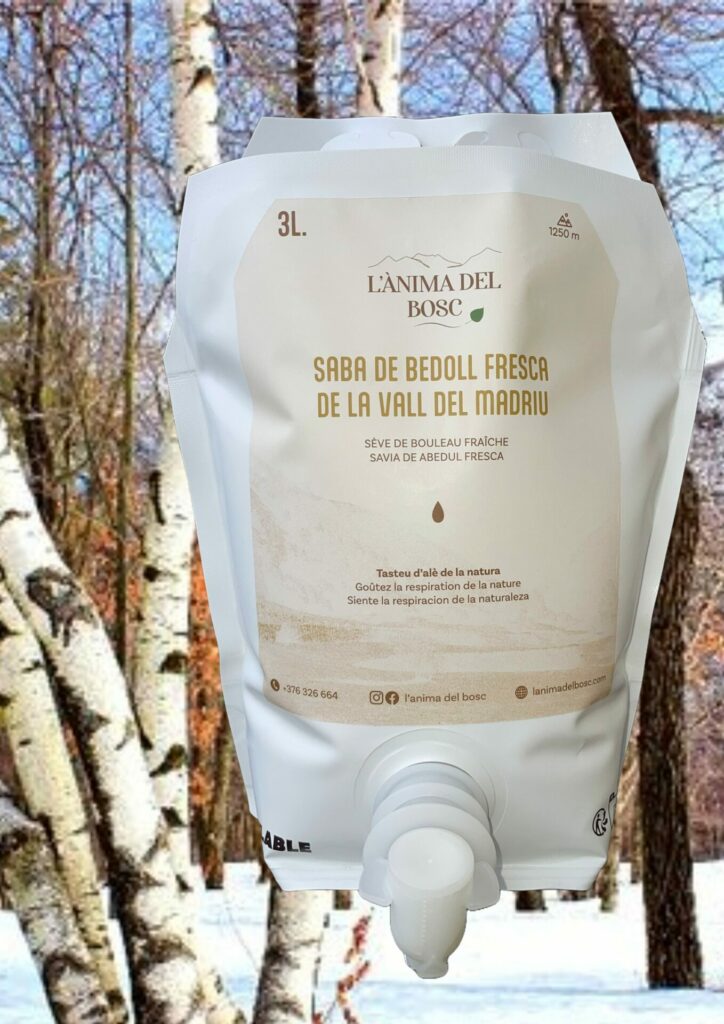 Sève de bouleau fraiche de la vallée du Madriu - 3 litres - Récolte limitée à 300 litres