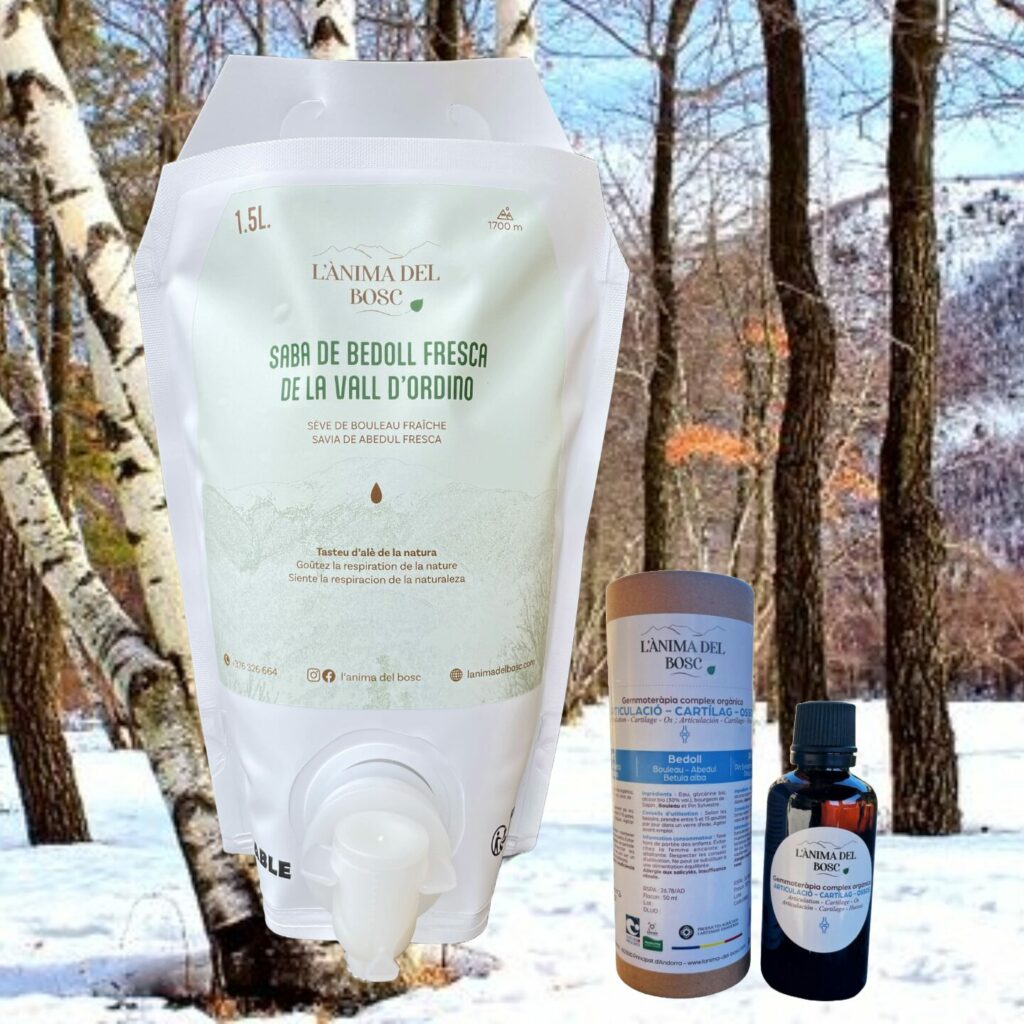 Sève de bouleau de la vallée d'Ordino 1,5 litres + complexe gemmothérapie articulation