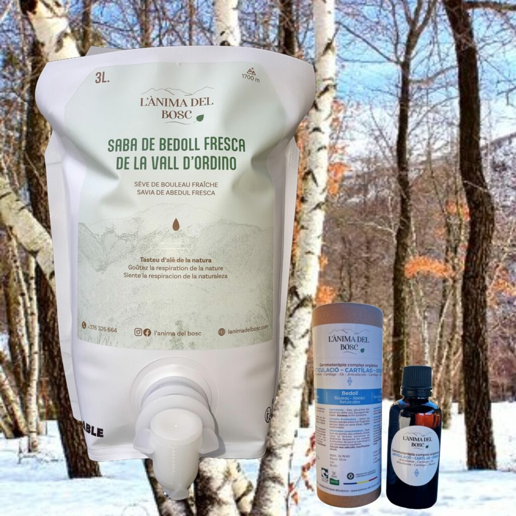 Sève de bouleau de la vallée d'Ordino 3 litres + complexe gemmothérapie articulation