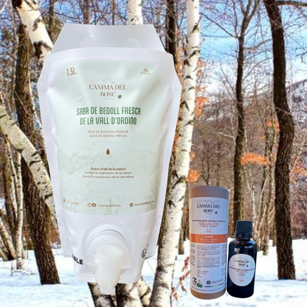 Sève de bouleau de la vallée d'Ordino 1,5 litres + complexe gemmothérapie cellulite