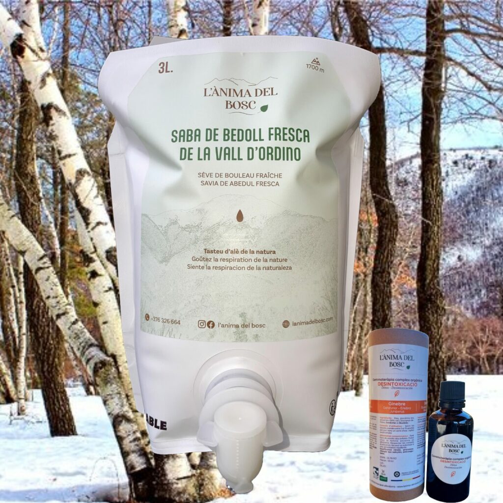 Sève de bouleau de la vallée d’Ordino 3 litres + complexe gemmothérapie détox