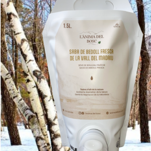 Sève de bouleau fraiche de la vallée du Madriu - 1,5 litres - Récolte limitée à 300 litres !