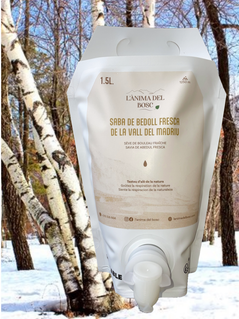 Sève de bouleau fraiche de la vallée du Madriu - 1,5 litres - Récolte limitée à 300 litres !