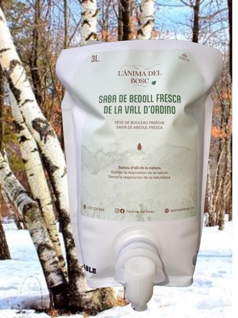 Sève de bouleau fraiche de la vallée d'Ordino - 3 litres