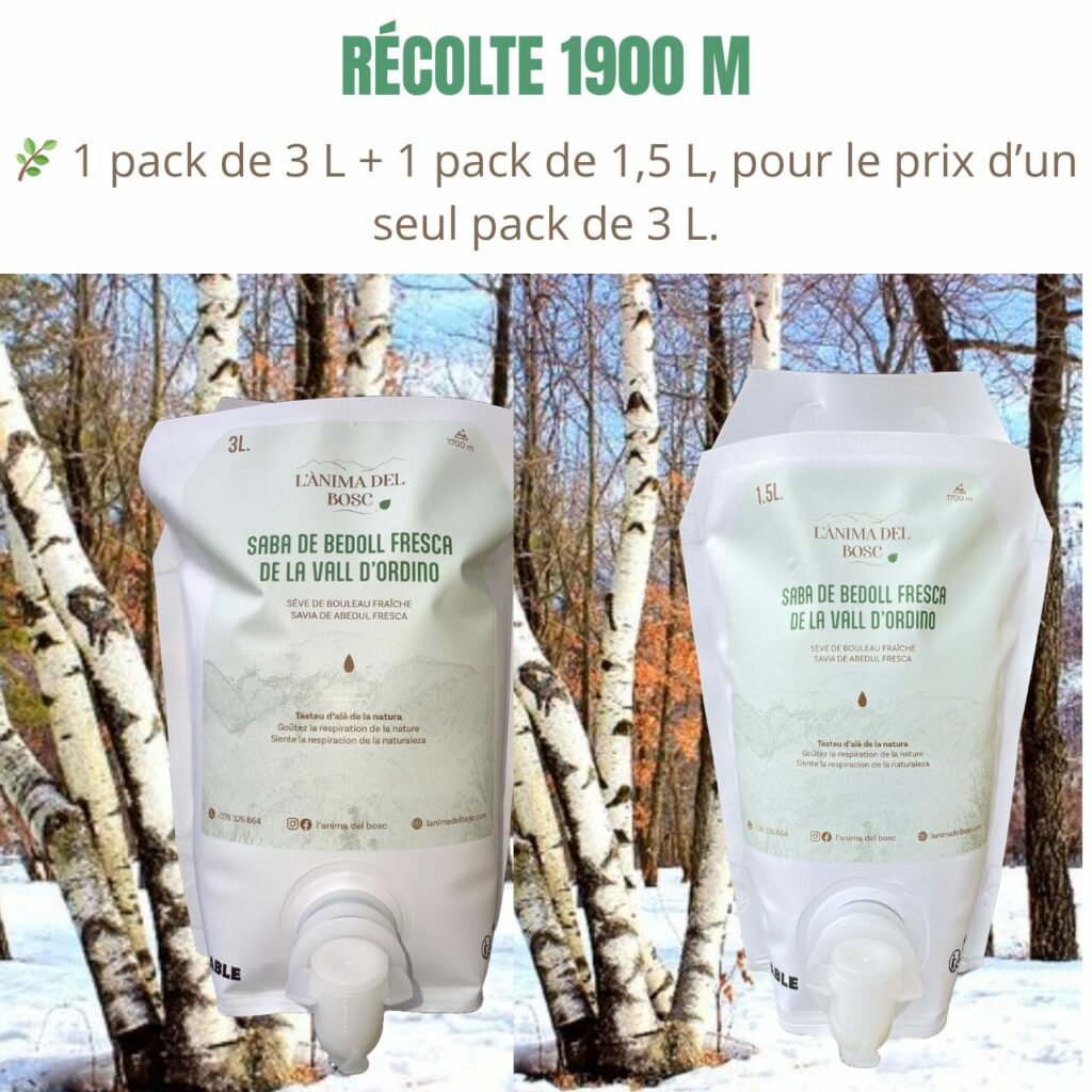 Sève de bouleau fraiche de la vallée d'Ordino - 3 litres + 1,5 Litre (Copie)