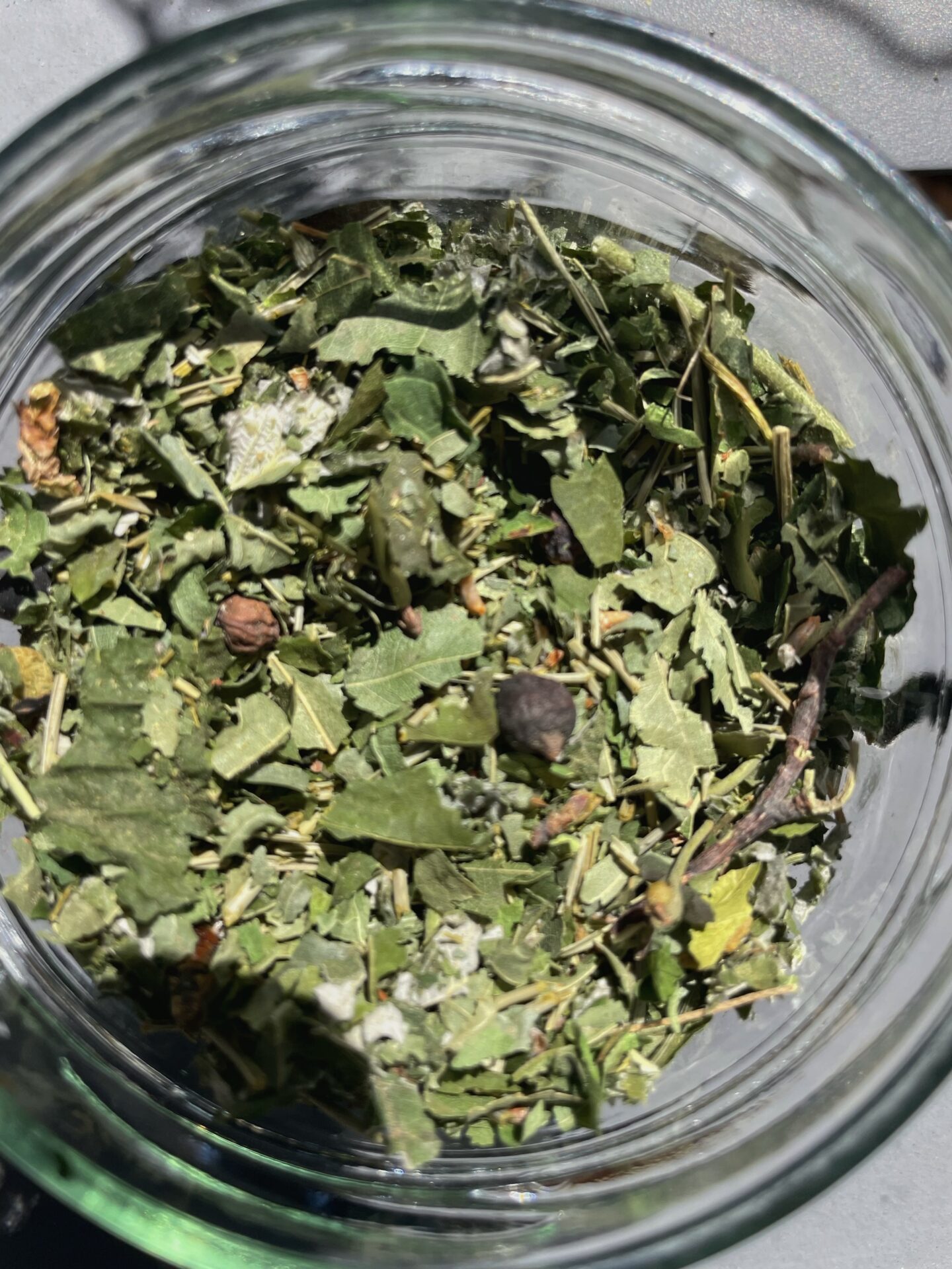 Infusión silvestre del valle de Madriu - Imagen 2